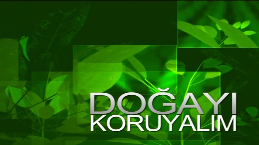 DOĞAYI KORUYALIM 2.BÖLÜM